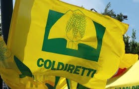 2018 da record per l'export agroalimentare