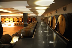 Progetto Italia, come migliorare ancora l'export in Cina