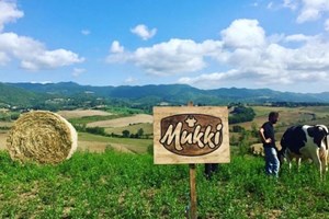 Boom del latte italiano in Cina, sale l'export del 48% nel 2018