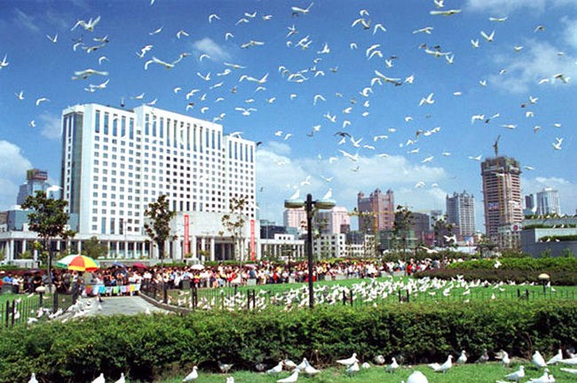 La Cina punta su cultura e retail