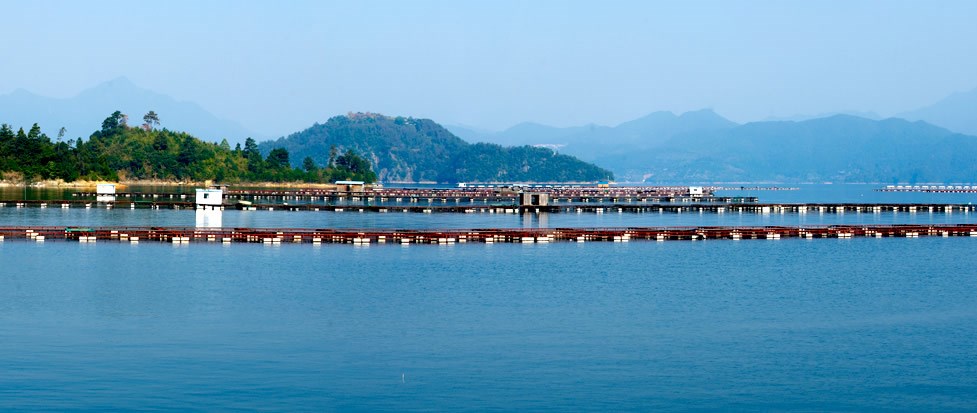 lake