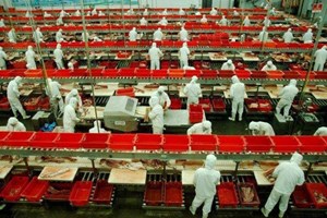 Pechino allenta le restrizioni per i lavoratori migranti 