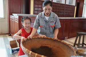 Numeri record per la medicina tradizionale cinese in mostra a Zhangshu