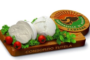 Vini, formaggi e prosciutto doc ora protetti anche in Cina