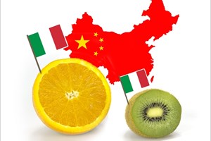 Ortofrutta made in Italy, è cresciuto (+74%) l'export in Cina