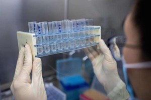 Come riaprire i viaggi internazionali? Serve lo scambio di vaccini