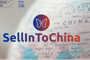 Vendere in Cina con l'aiuto del Kol (key opinion leader)