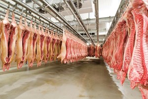 Allarme carne suina, i cinesi non l'amano più come in passato