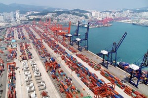Msc con Maersk e altri per l'hub dei container nel porto di Shanghai