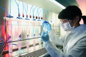 Rallenta l'indice cinese delle  industrie innovative