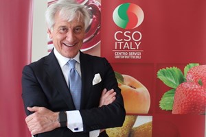 Ortofrutta, nel 2023 l'export italiano di pere in Cina e mele a Taiwan