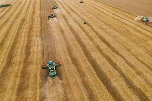 Cina, siccità e piogge mettono a rischio il raccolto di cereali 