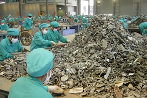 Tra dazi europei e rottami cinesi, è battaglia anche sugli scraps