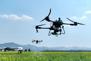 L'agricoltura tra le priorità del 15° piano quinquennale cinese