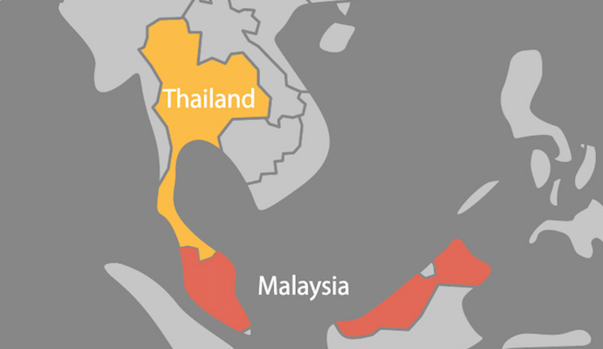 settimanale