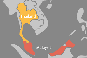 Malesia 'tigre' asiatica con molte opportunità anche per l'Italia
