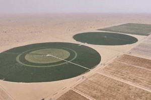 Smart agricolture in Cina, è nuovo business per l’agrifood italiano