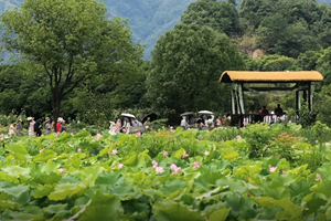 Cina a tutto turismo, ma basterà per risollevare i consumi? 